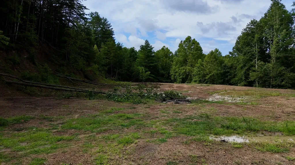 223 Bertha Hollow Road Gray KY 40734