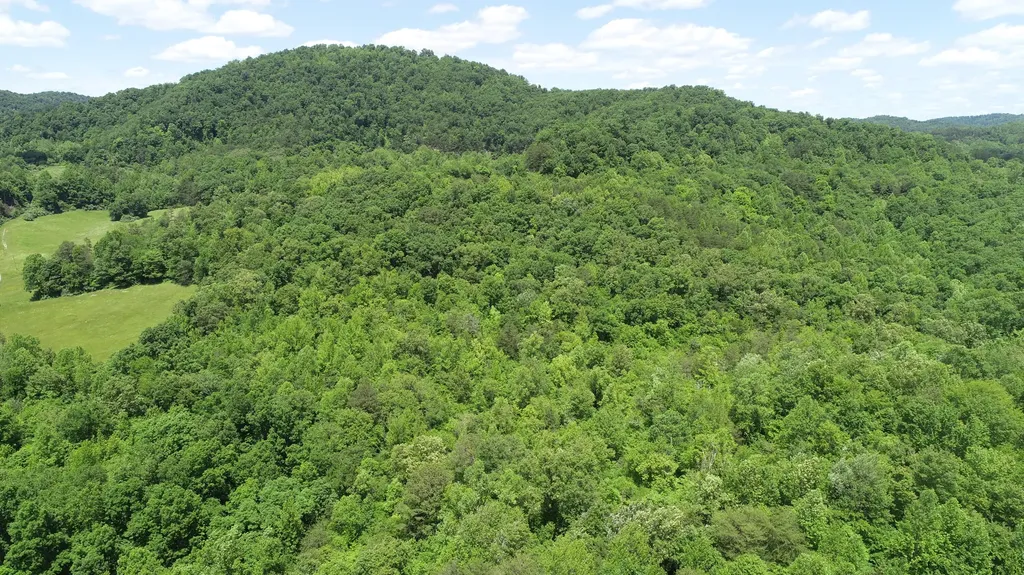 00 Sutton Mill Road Williamsburg KY 40769