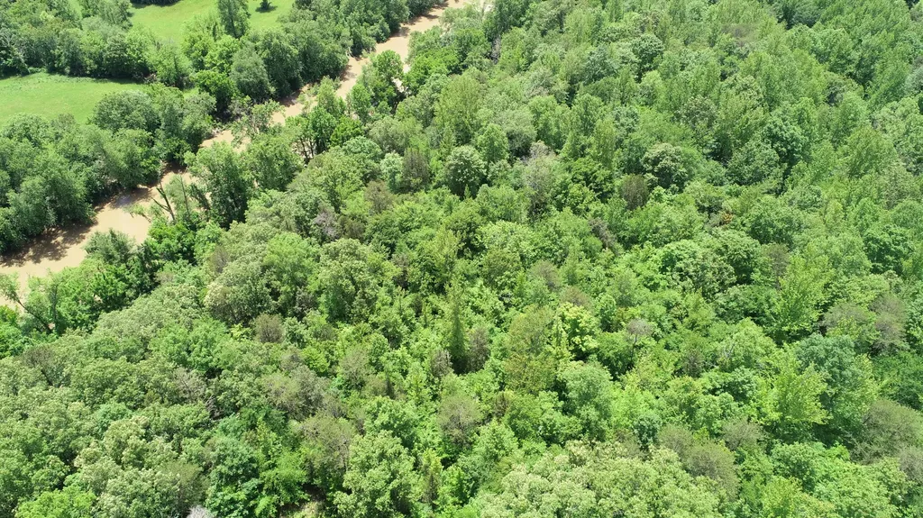 00 Sutton Mill Road Williamsburg KY 40769