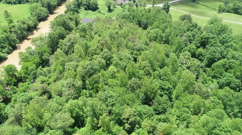 00 Sutton Mill Road Williamsburg KY 40769