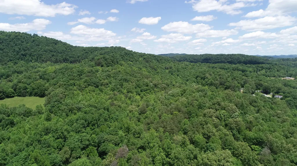 00 Sutton Mill Road Williamsburg KY 40769