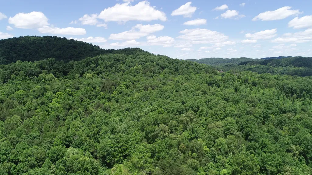 00 Sutton Mill Road Williamsburg KY 40769