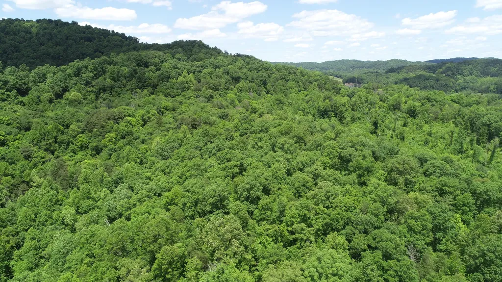 00 Sutton Mill Road Williamsburg KY 40769