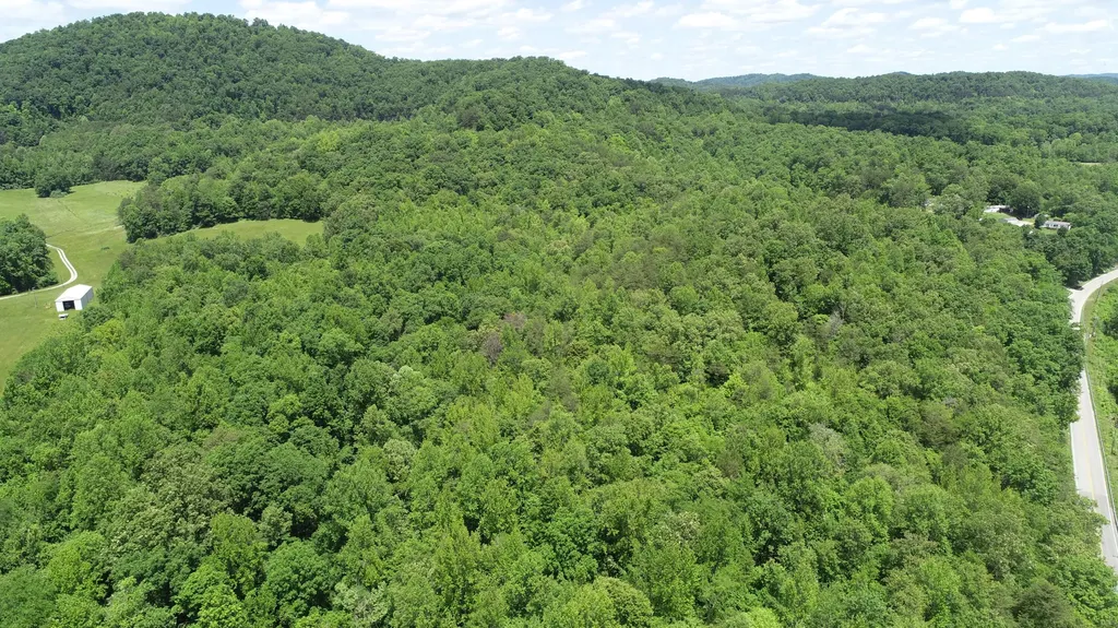 00 Sutton Mill Road Williamsburg KY 40769