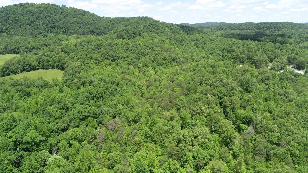 00 Sutton Mill Road Williamsburg KY 40769