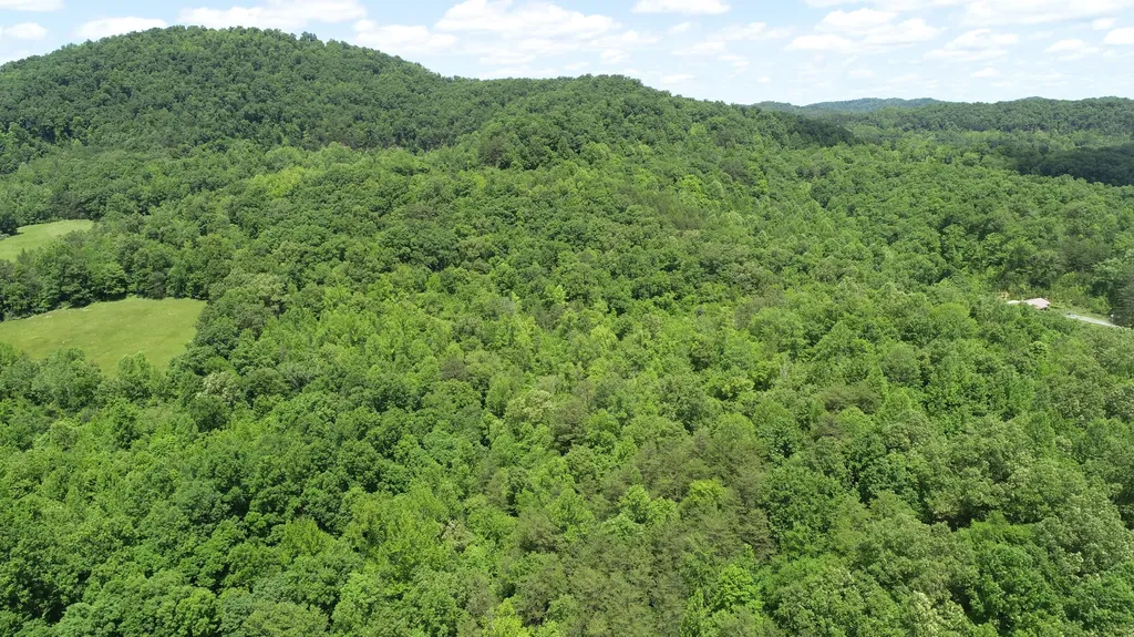 00 Sutton Mill Road Williamsburg KY 40769