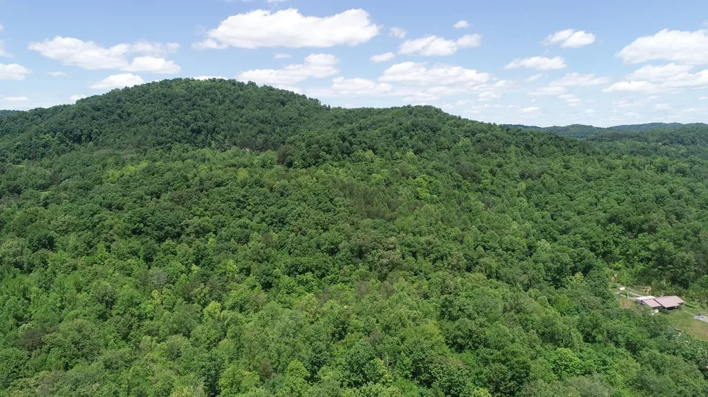 00 Sutton Mill Road Williamsburg KY 40769