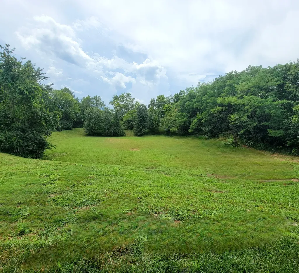 242 Sugartree Lane Versailles KY 40383