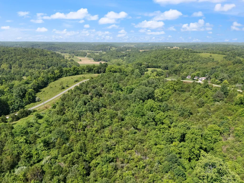0 Mann Road Mount Olivet KY 41064