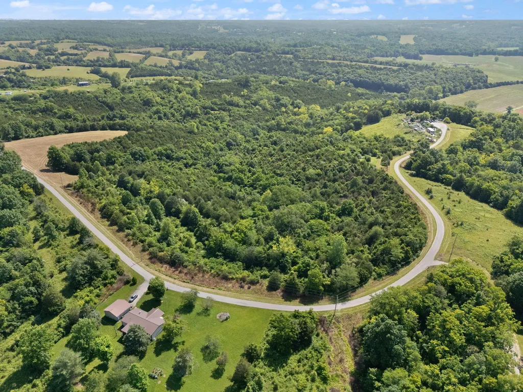 0 Mann Road Mount Olivet KY 41064