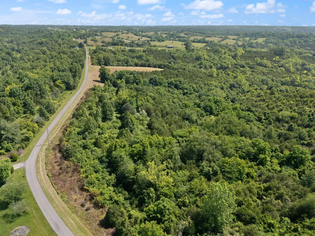 0 Mann Road Mount Olivet KY 41064