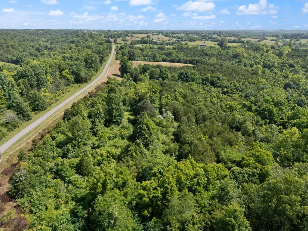 0 Mann Road Mount Olivet KY 41064