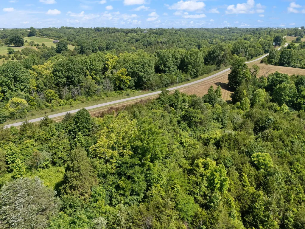 0 Mann Road Mount Olivet KY 41064
