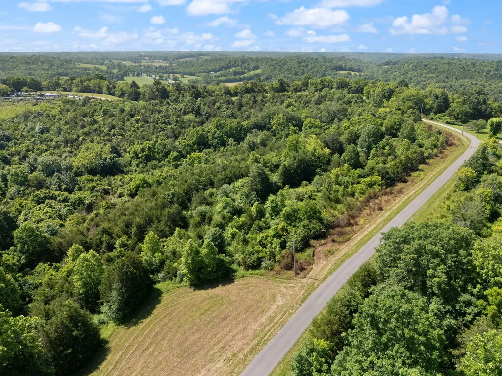 0 Mann Road Mount Olivet KY 41064