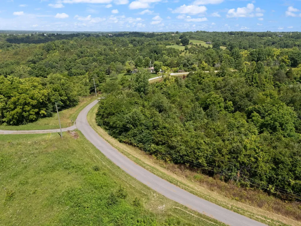 0 Mann Road Mount Olivet KY 41064