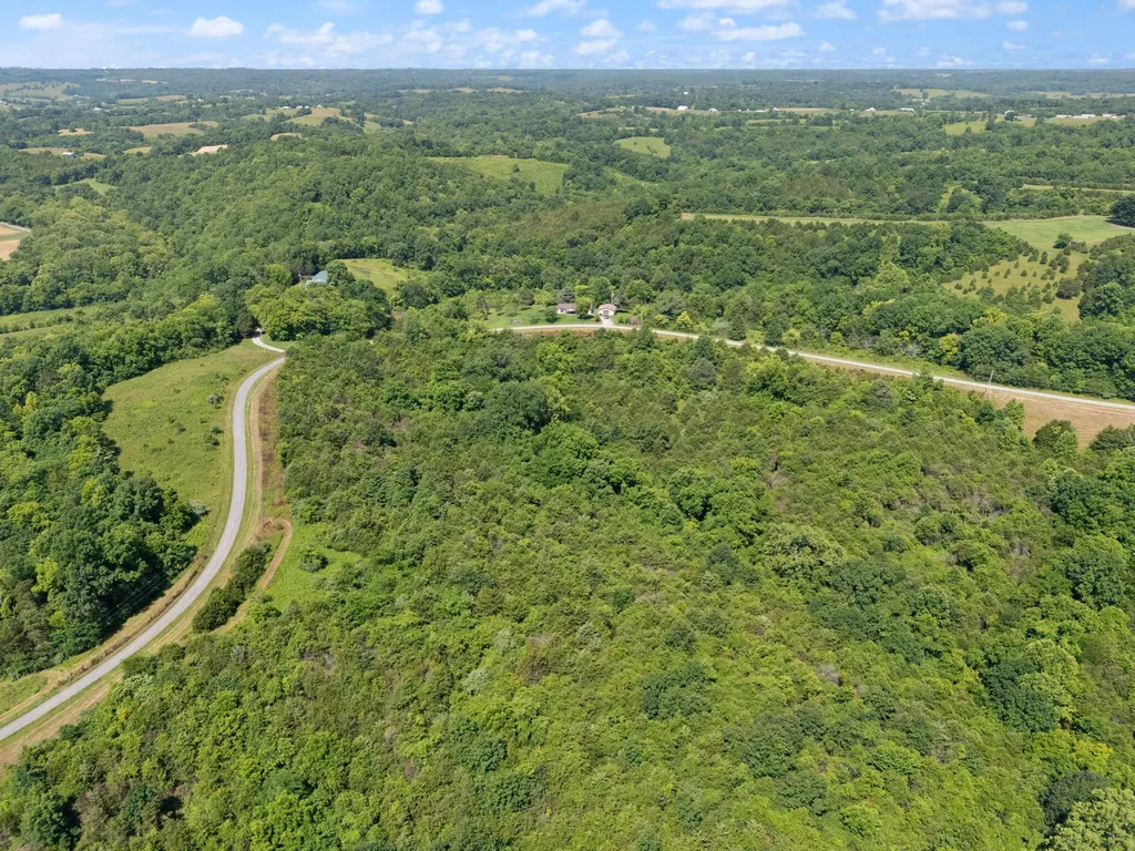 0 Mann Road Mount Olivet KY 41064