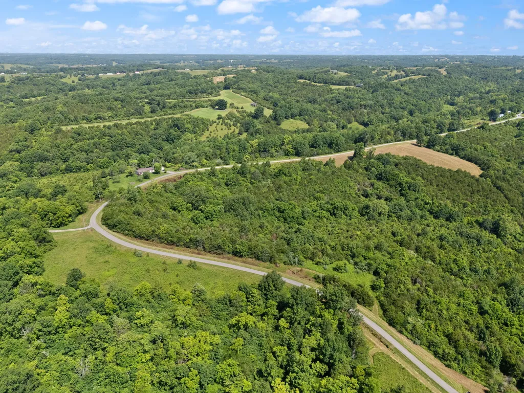 0 Mann Road Mount Olivet KY 41064