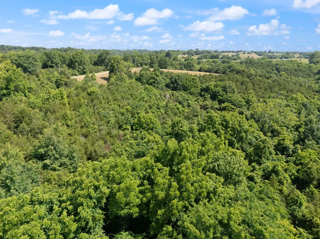0 Mann Road Mount Olivet KY 41064