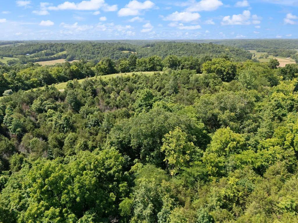 0 Mann Road Mount Olivet KY 41064