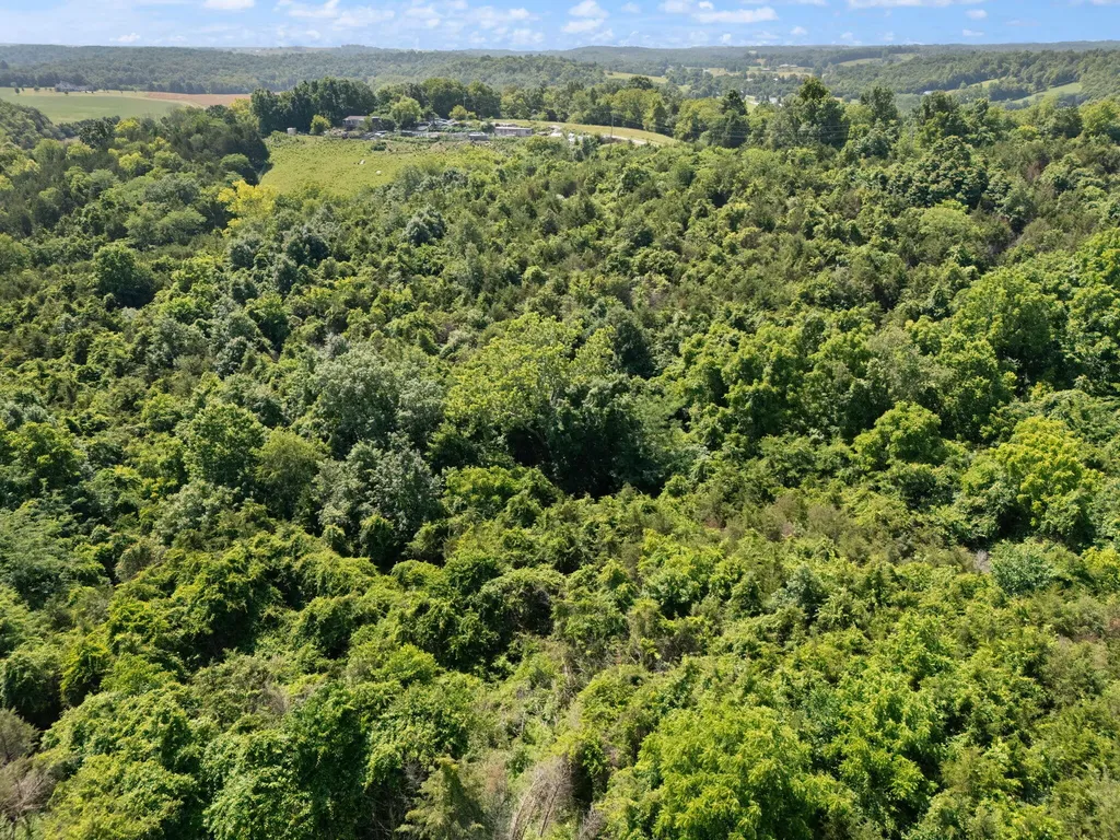 0 Mann Road Mount Olivet KY 41064