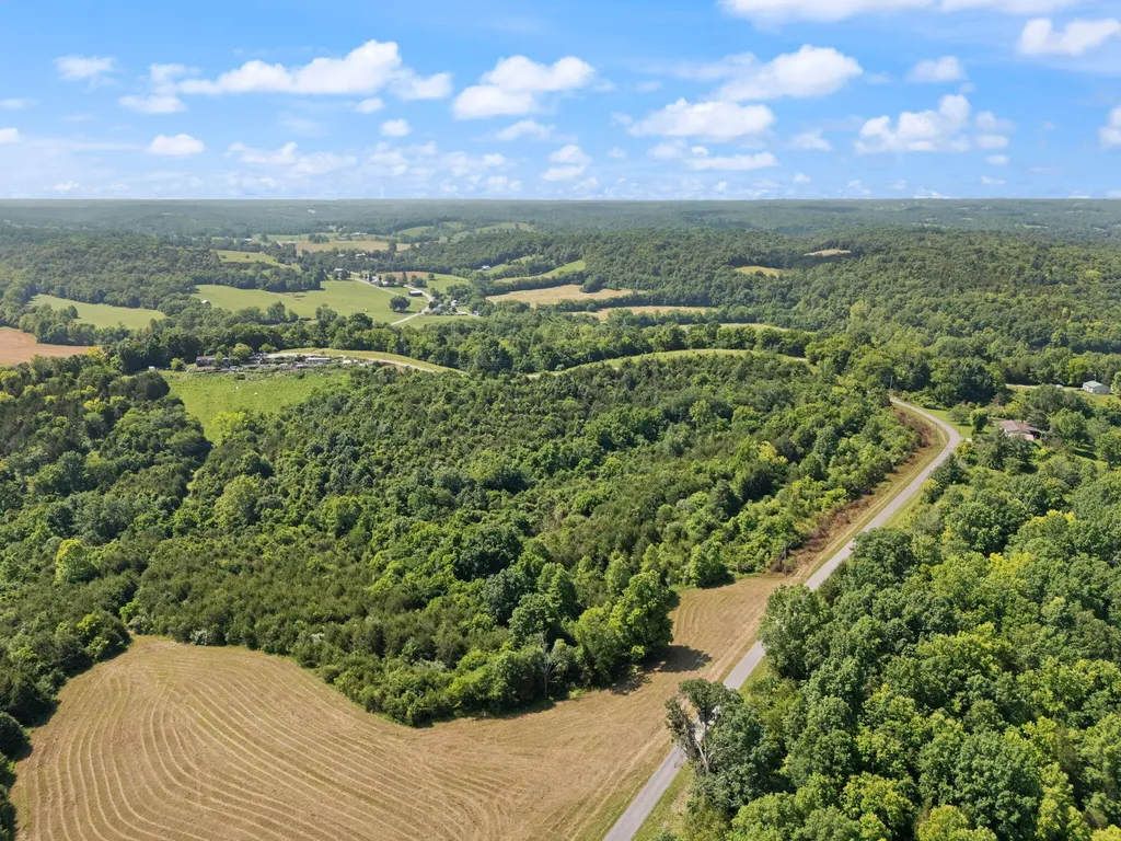 0 Mann Road Mount Olivet KY 41064