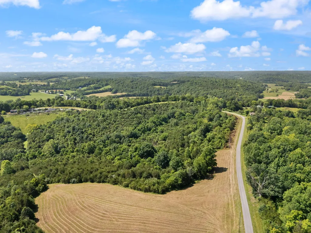 0 Mann Road Mount Olivet KY 41064