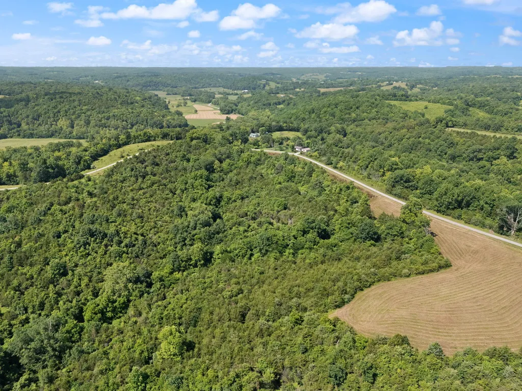 0 Mann Road Mount Olivet KY 41064