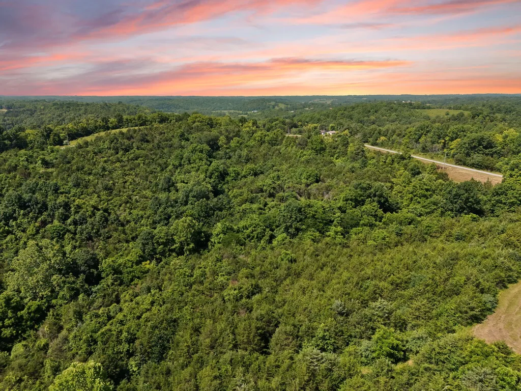 0 Mann Road Mount Olivet KY 41064
