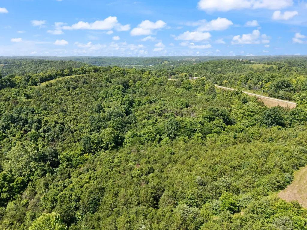 0 Mann Road Mount Olivet KY 41064
