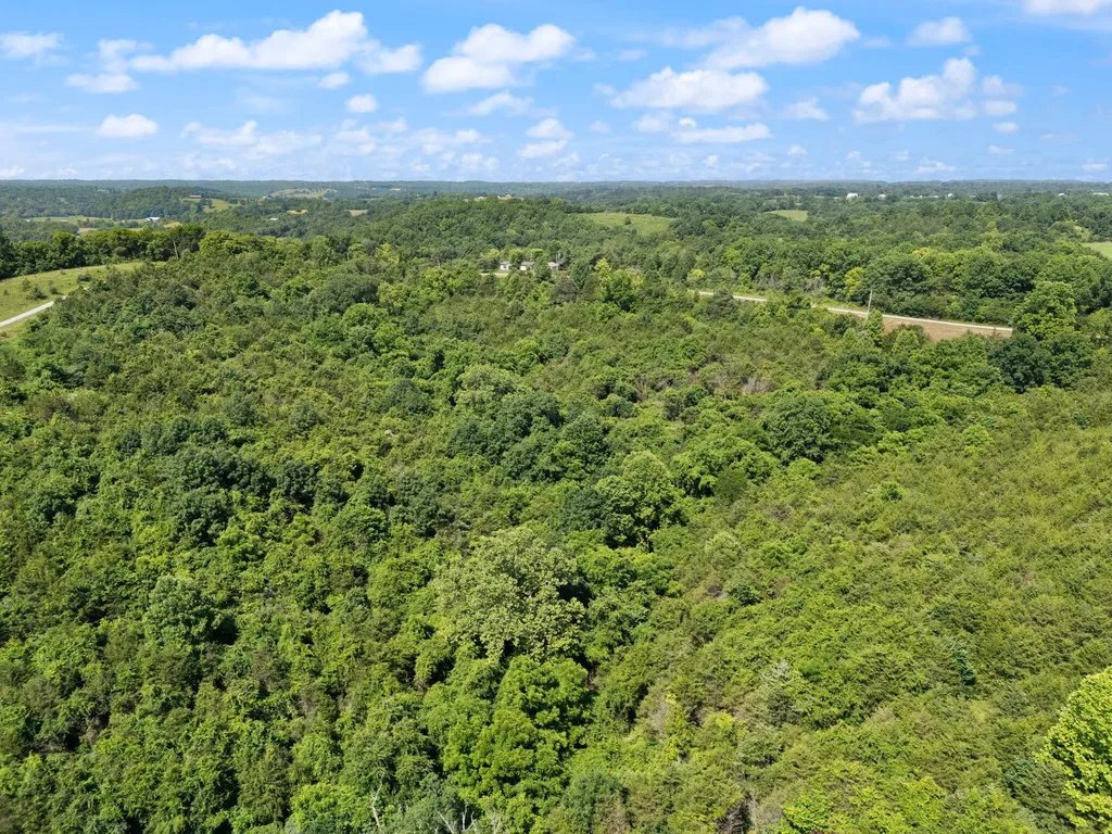0 Mann Road Mount Olivet KY 41064