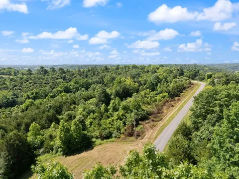 0 Mann Road Mount Olivet KY 41064