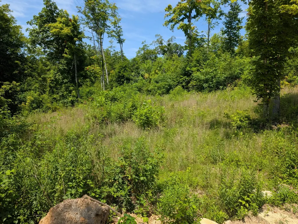 Tract 3 Bend Of The Lake Road Somerset KY 42501