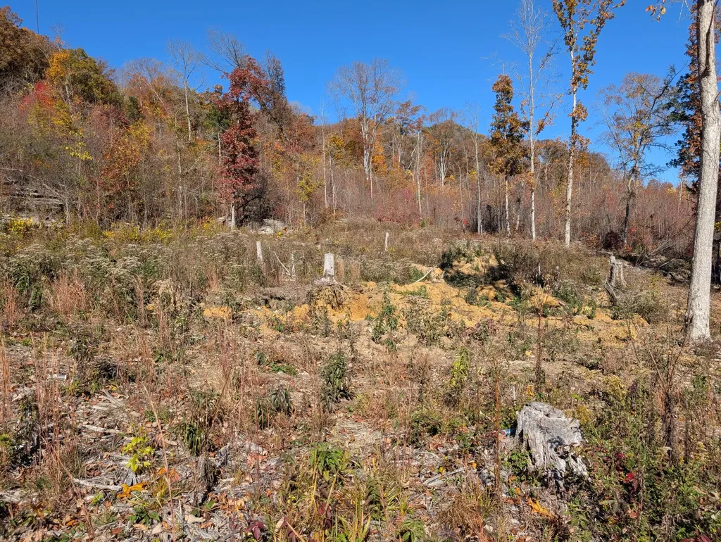 Tract 3 Bend Of The Lake Road Somerset KY 42501