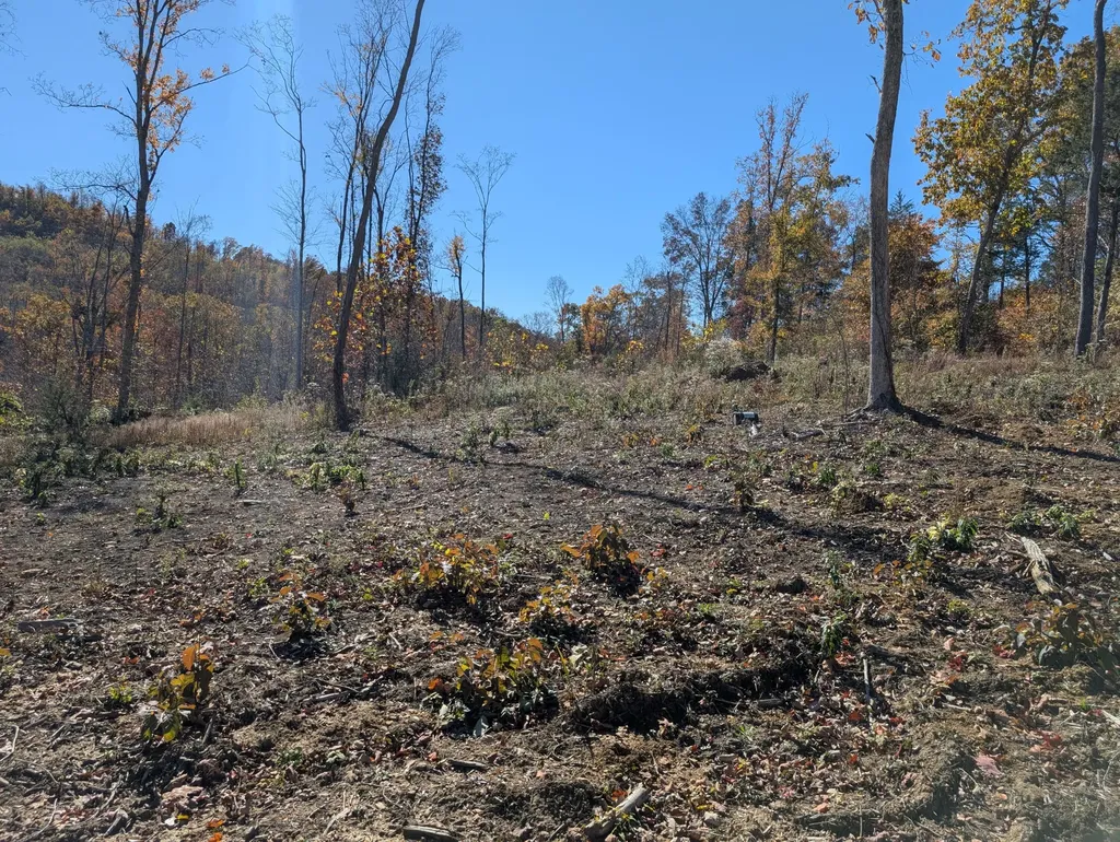 Tract 3 Bend Of The Lake Road Somerset KY 42501