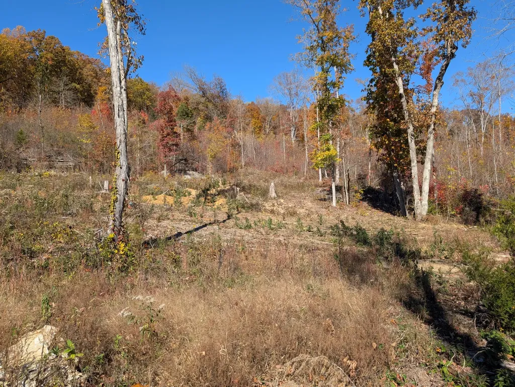Tract 3 Bend Of The Lake Road Somerset KY 42501