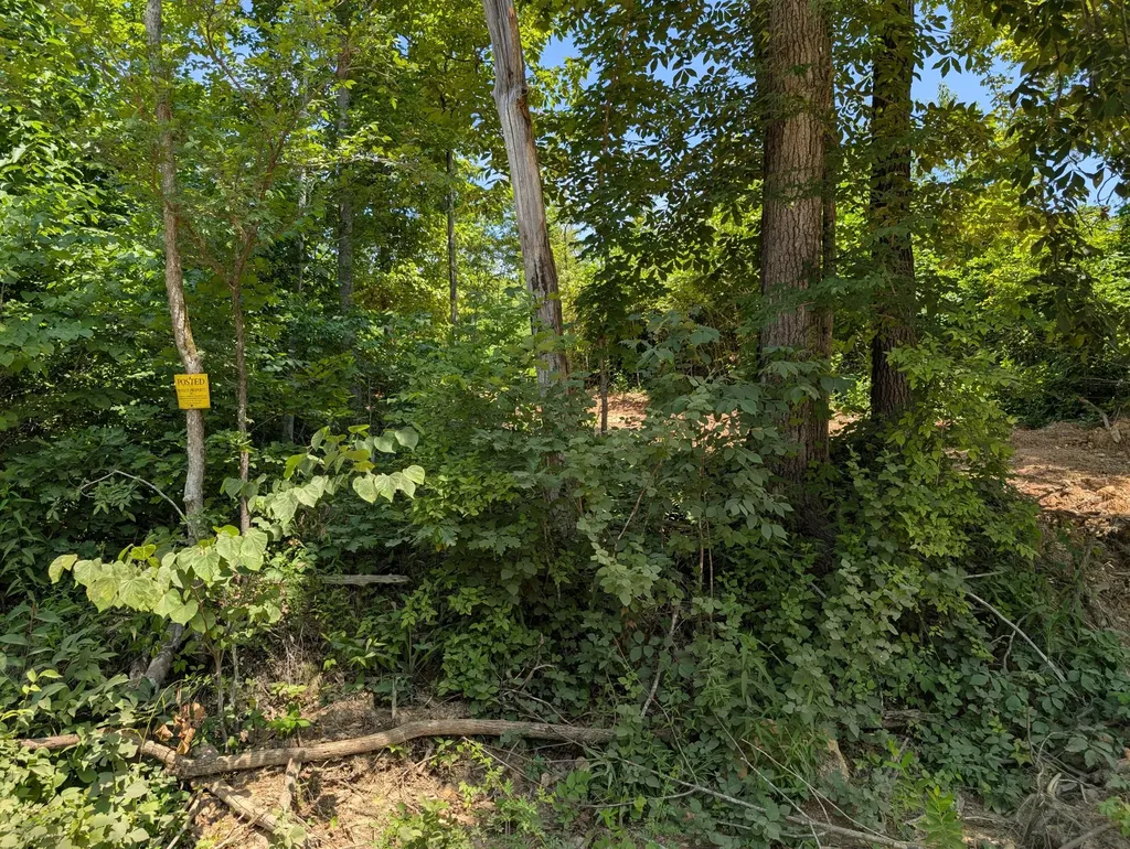 Tract 3 Bend Of The Lake Road Somerset KY 42501