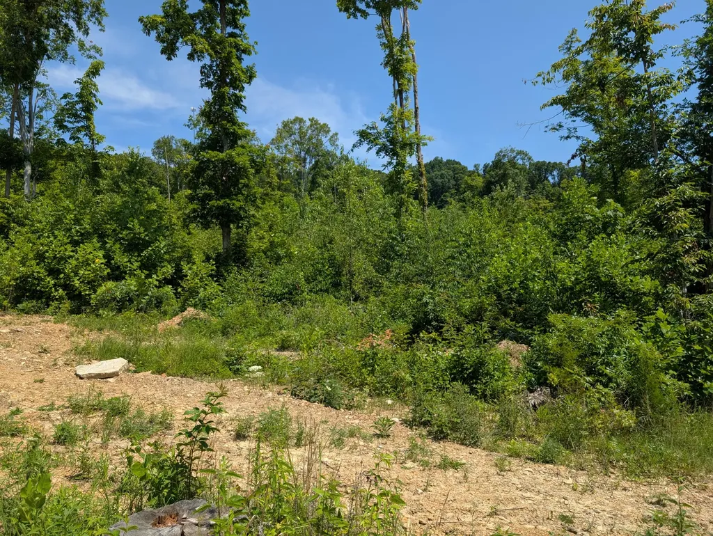 Tract 3 Bend Of The Lake Road Somerset KY 42501