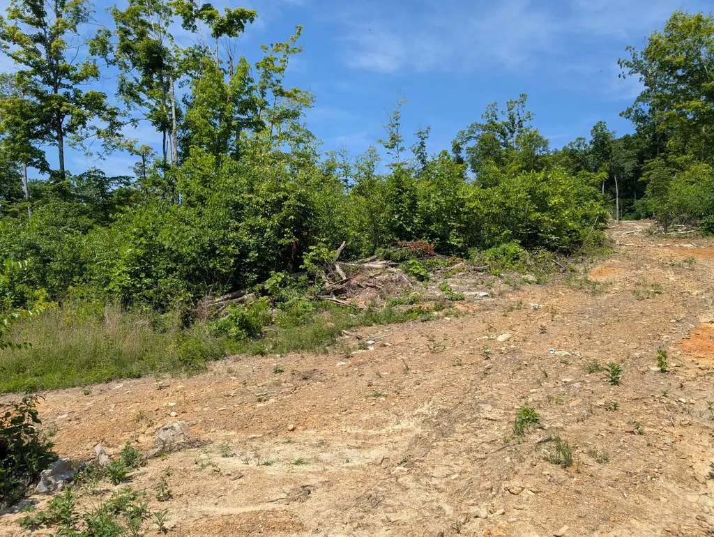 Tract 3 Bend Of The Lake Road Somerset KY 42501