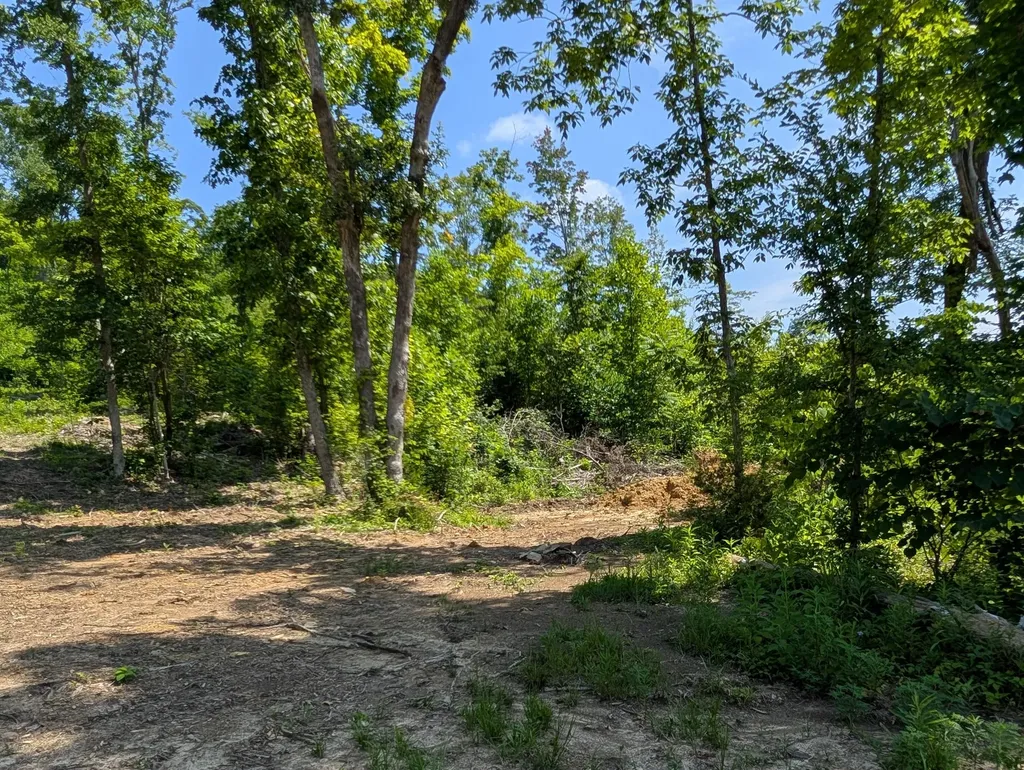 Tract 3 Bend Of The Lake Road Somerset KY 42501