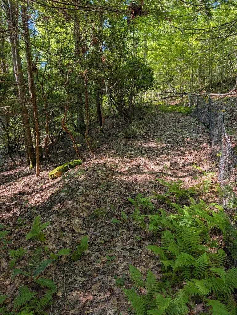899 Ralley Road Keavy KY 40737