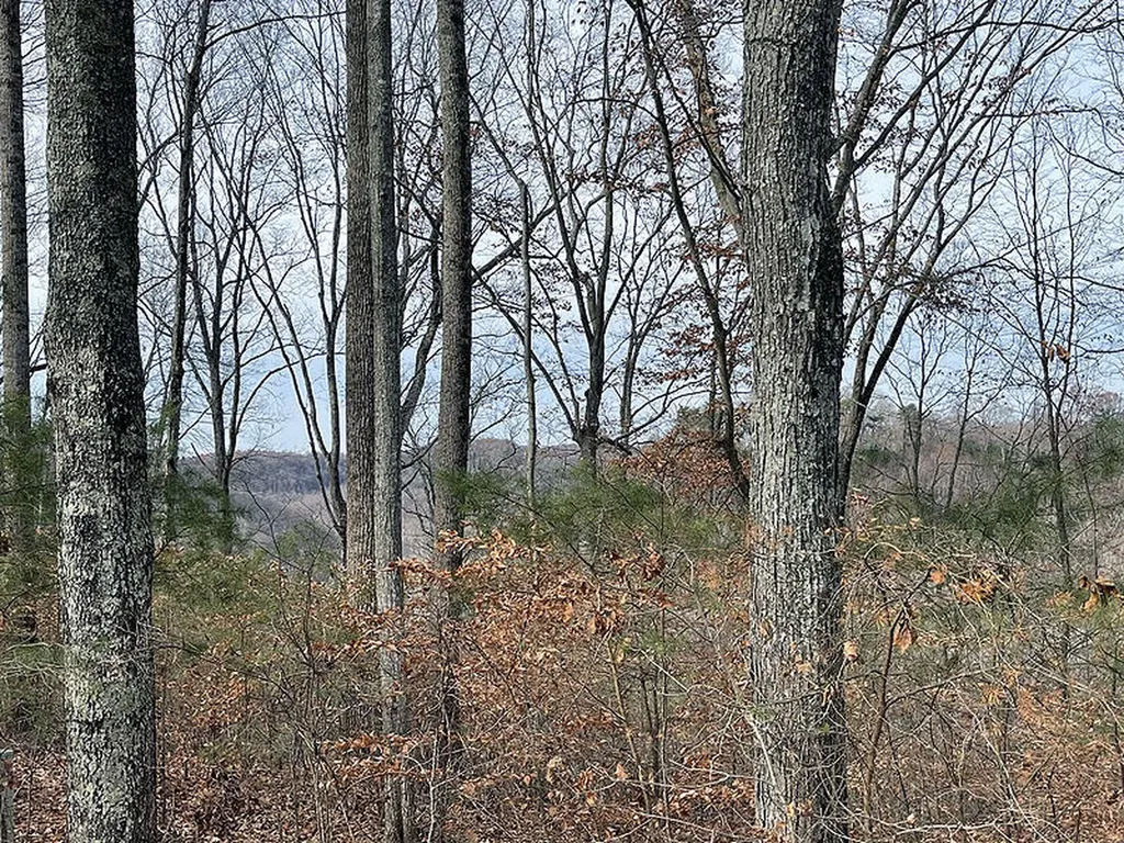 Lot 84 Stillwater Russell Springs KY 42642