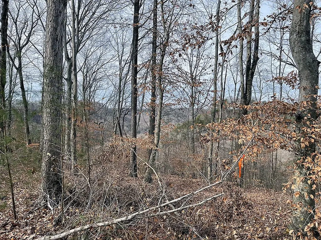 Lot 84 Stillwater Russell Springs KY 42642