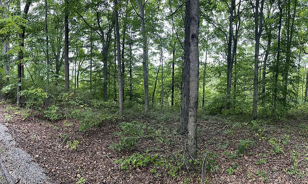 Lot 84 Stillwater Russell Springs KY 42642