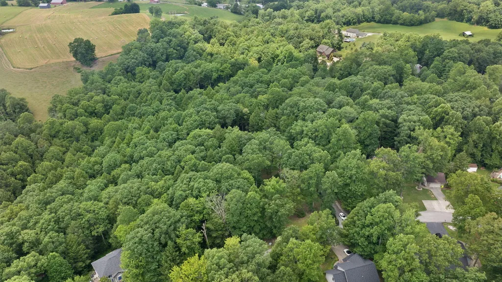 225 Spring Gate Drive London KY 40741