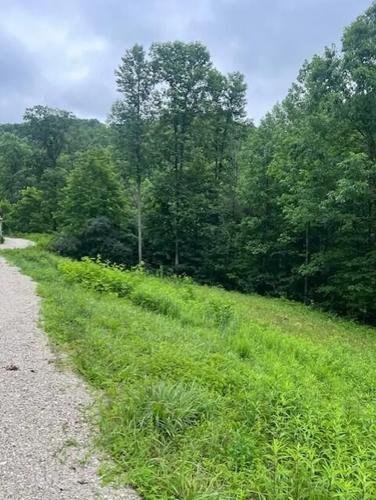 450 Shrilda Lane Jackson KY 41339