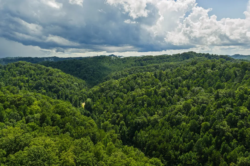 450 Shrilda Lane Jackson KY 41339