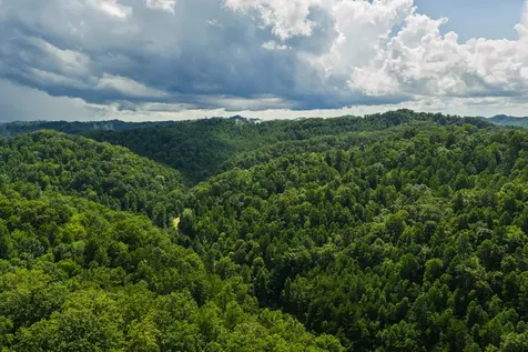 450 Shrilda Lane Jackson KY 41339