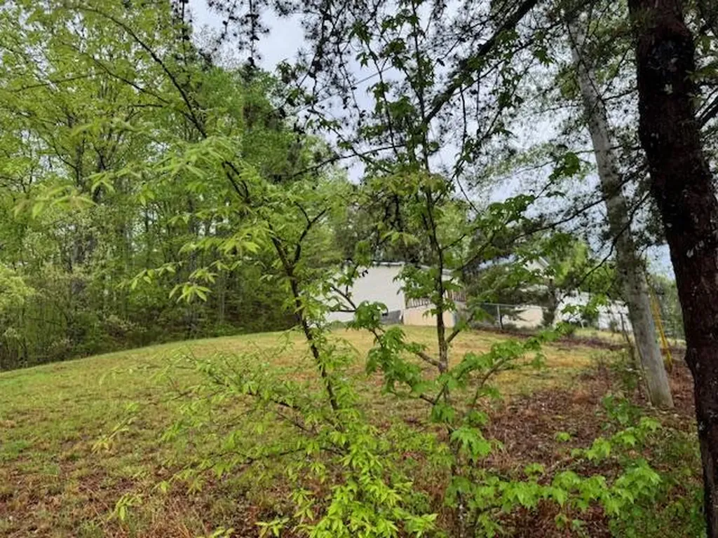 315 Moonbeam Lane Williamsburg KY 40769