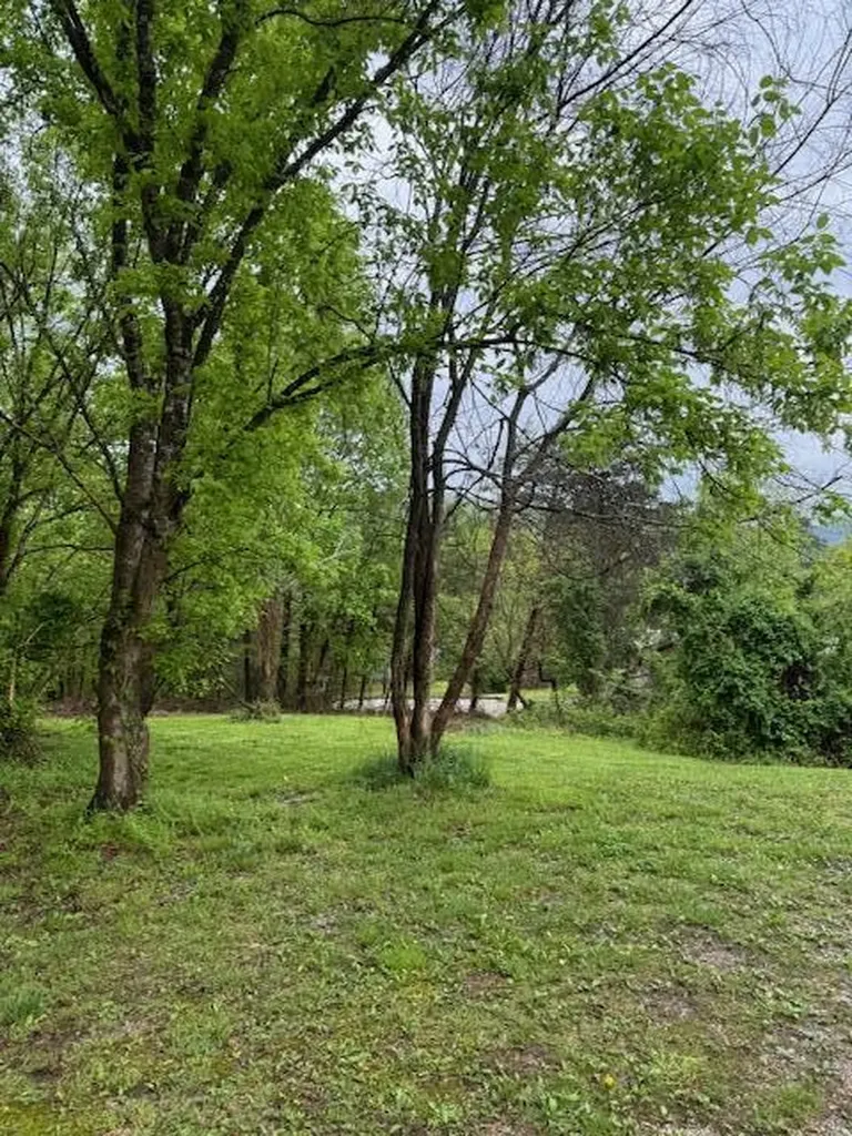 315 Moonbeam Lane Williamsburg KY 40769