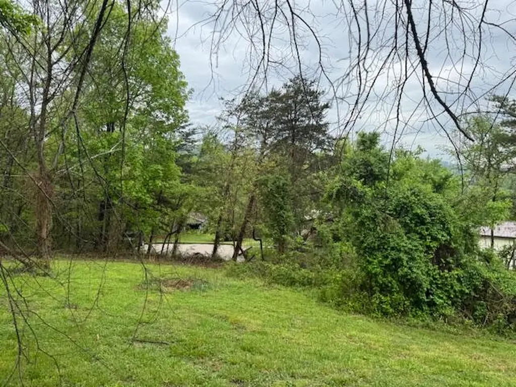 315 Moonbeam Lane Williamsburg KY 40769